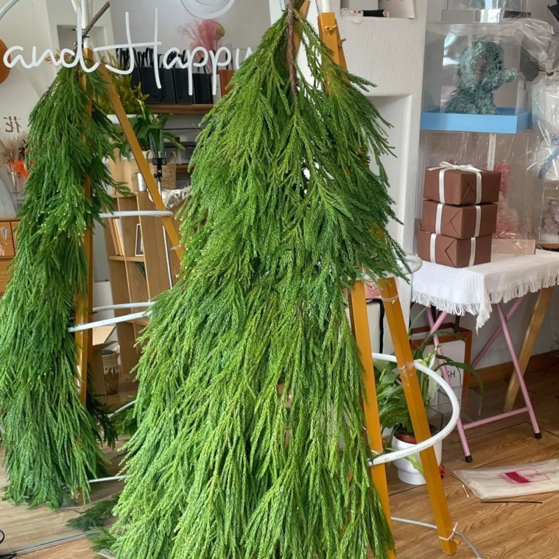 Материалы для новогодней елки японской девочки, свежие, интернет-звезда, натуральная сосна и кипарис, декоративные новогодние материалы