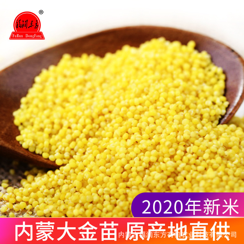 【Dropshipping】Furun Dongfang 2025 New Xiaomi Inner Mongolia Chifeng Big Golden Seed Xiaomi Porridge 2.5kg