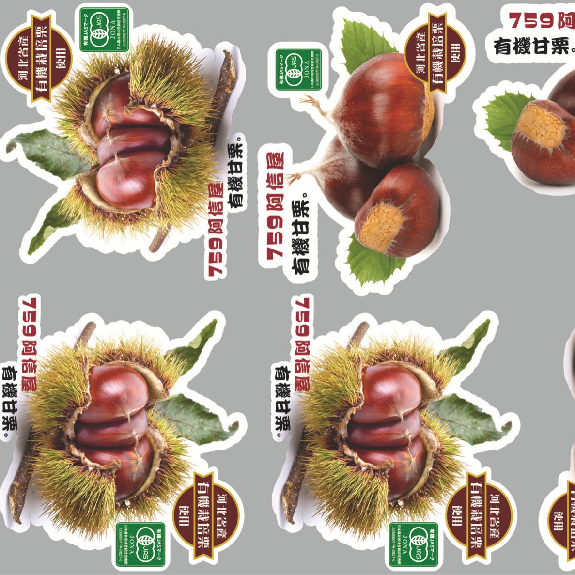 Thermal Transfer Heat Transfer Custom-Made Korean Quick-Print Heat Transfer Offset Reflective Heat Transfer Washable Colorful Offset Heat Transfer