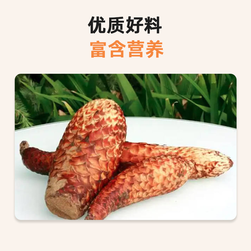 Customized Cistanche Deserticola Puree Plant Drink Oem Oem Production Agent Investment Cistanche Deserticola Puree Plant Drink