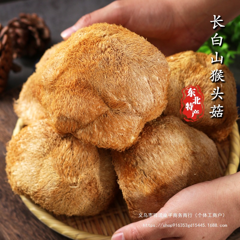 Longbai Mountain Hericium Dry Goods Wild 500g New Powder Northeast Mushroom Soup Ingredients Mushrooms
