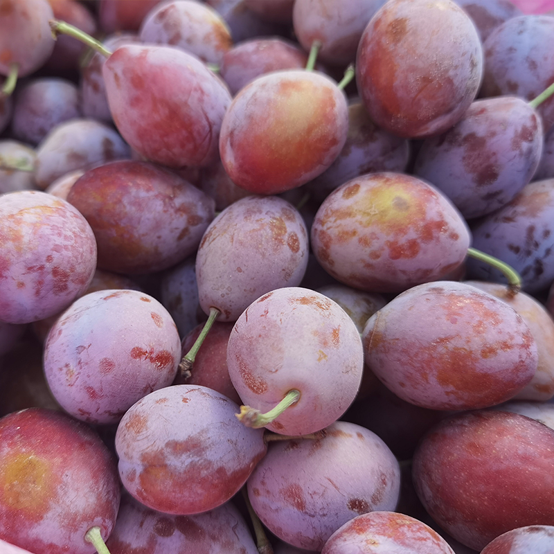 Xinjiang French Prunes Xinjiang Prunes Fresh Seasonal Fruit Chinese Quarter