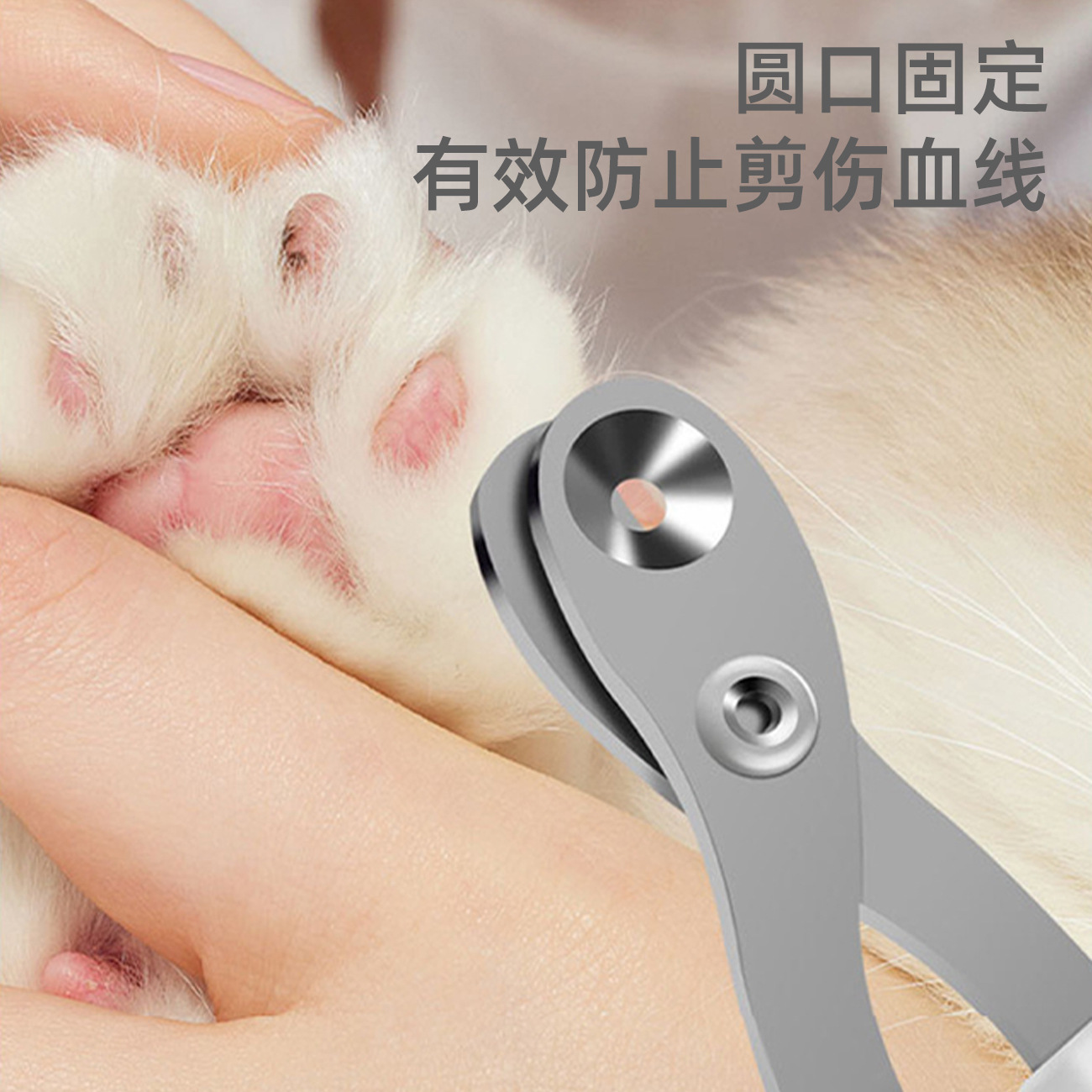 Cat special nail clippers stainless steel pet small blind clippers cat nail clippers round hole nail clippers cat and dog pet supplies