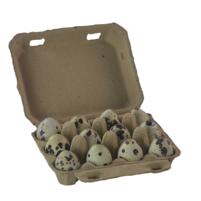 Box of 12 Quail Eggs, Shockproof Quail Egg Carton, Pulp Supply, Biodegradable Manufacturer