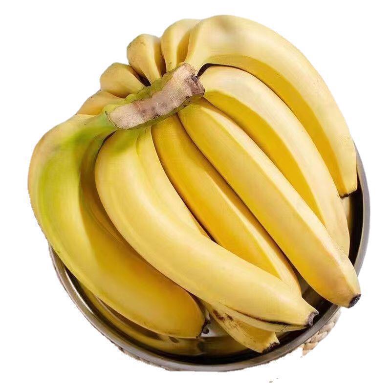 W 5kg Alpine Large Bananas, Seasonal Fresh Fruit, Plantains, Sweet and Delicious, Free Shipping for 5 Whole Boxes, 1.0kg Batches