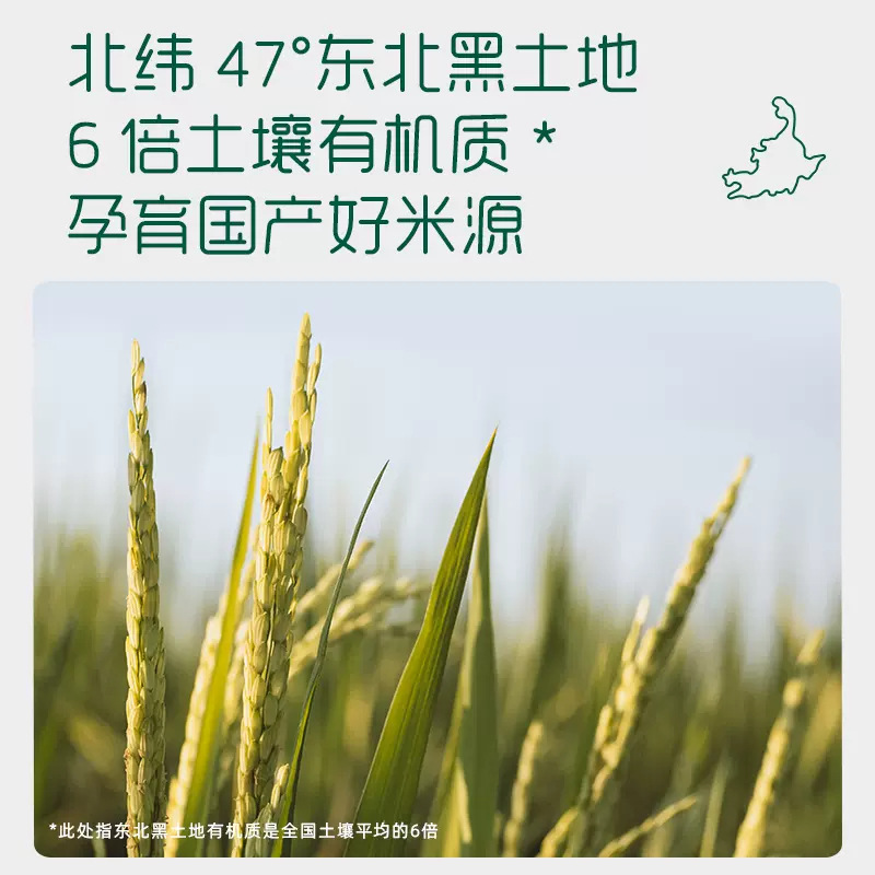 Yingshi infant rice flour rice paste baby supplementary food baby high iron rice flour 258g