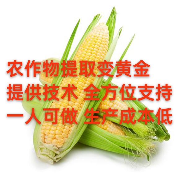 Grain-To-Gold Plant Protein Peptides Are Deeply Processed with Full Attention, Providing Support for Entrepreneurship, Technical Support, and Repurchase Support