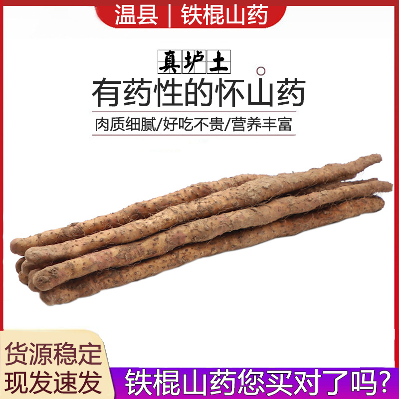 Yam, Henan Jiaozuo Soil Iron Rod Yam, Fresh Yam Wholesale 1 Piece 0.5kg Full Box 2.5kg Non-Hua Yam