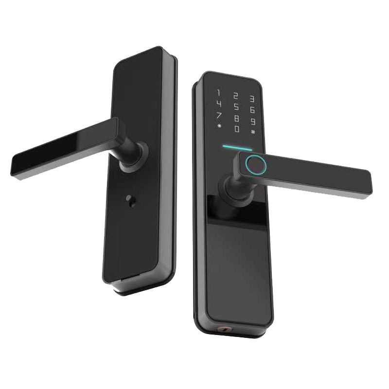 Ttlock Smart Bluetooth Wifi Password Fingerprint Lock for Hotel, Apartment, Homestay, and Rental Room