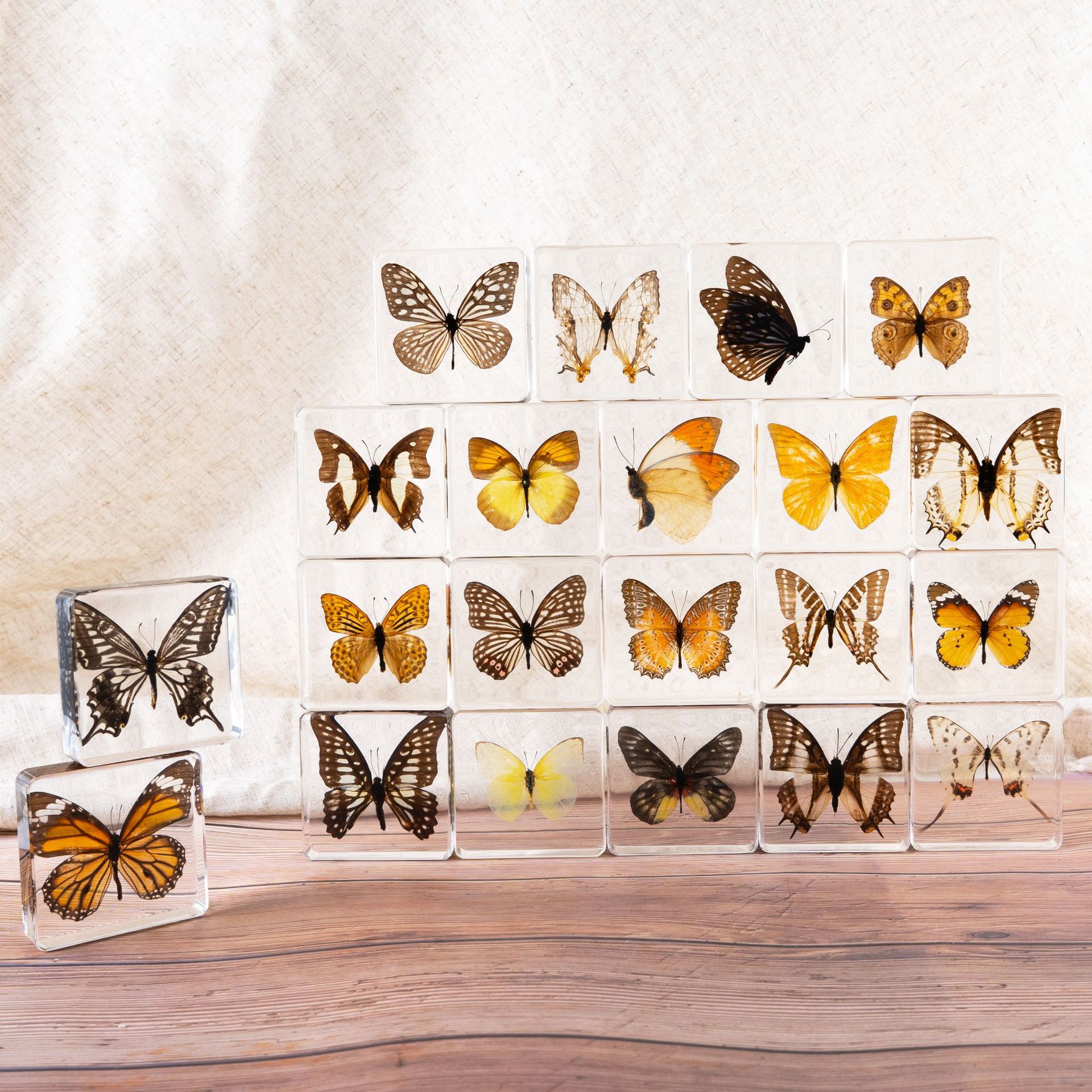 Market Stall Scenic Spot Hot Selling Insect Amber Specimen Butterfly Specimen Crafts Travel Souvenir Creative Ornaments
