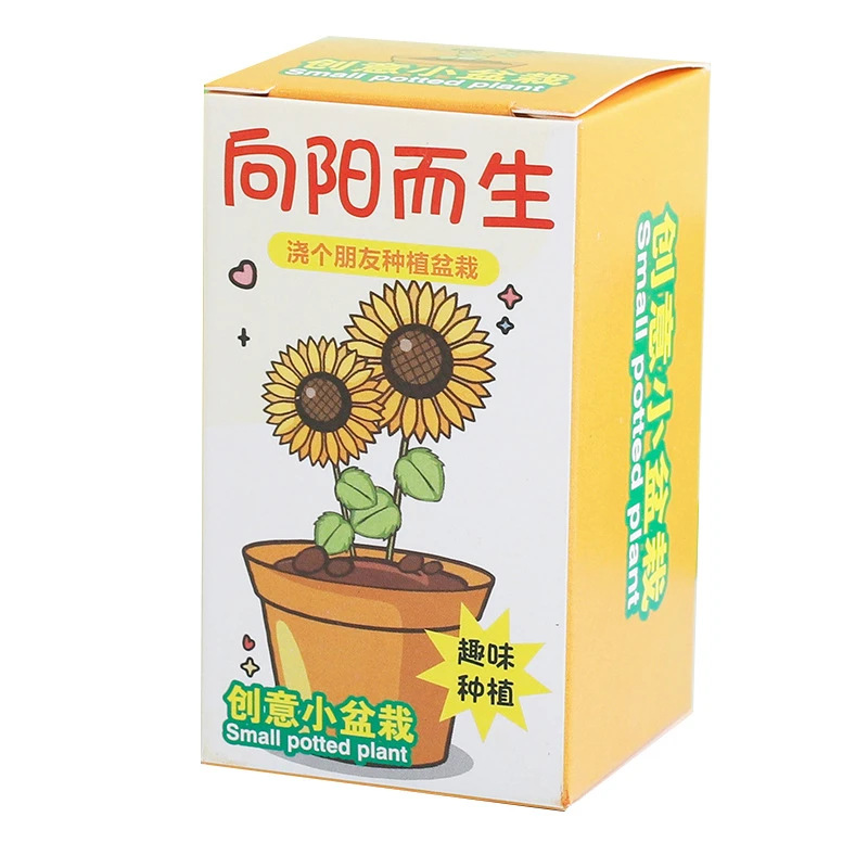 cartoon planting blind box potted office indoor flower seed flower grower plant growth observation diy experiment gift
