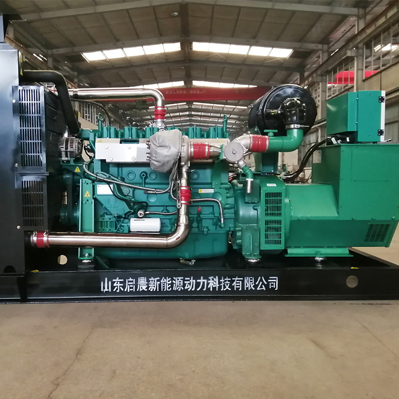 Natural Gas Generator 250Kw Gas Generator Set 400V Breeding Biogas Natural Gas Generator