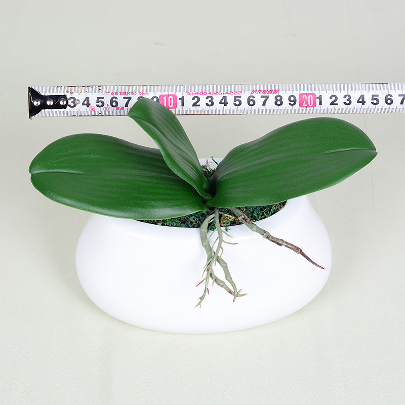 Feel pu phalaenopsis leaves artificial plant orchid leaf film phalaenopsis potted leaves wholesale
