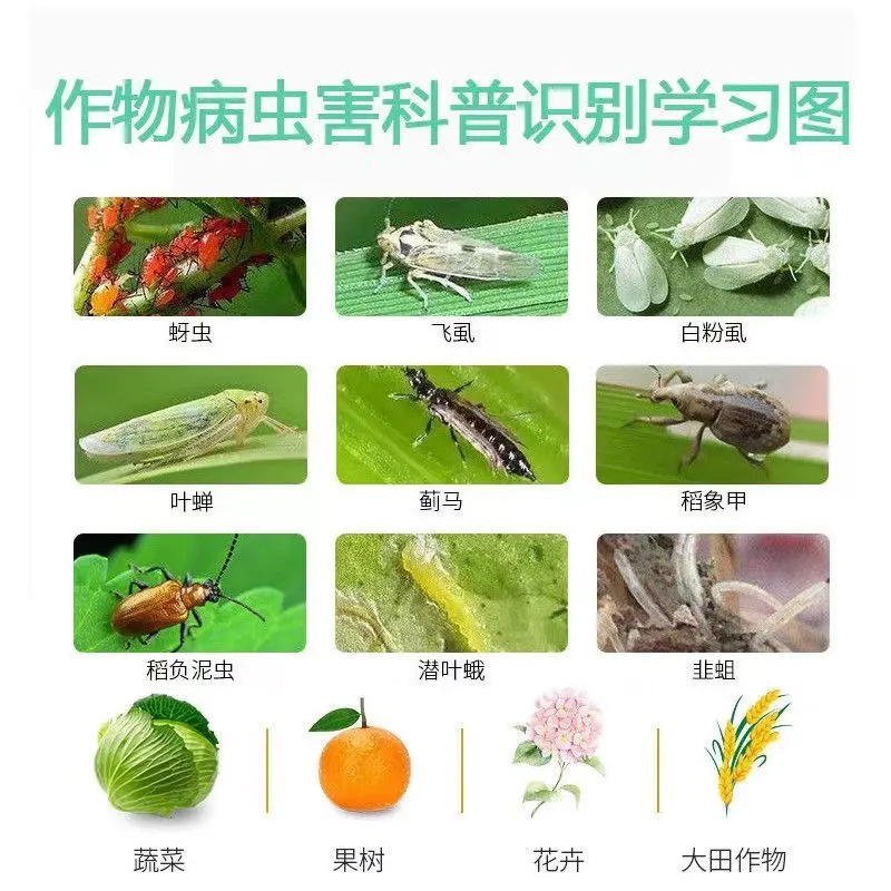 Imidacloprid Insecticide for Aphids, Vegetable and Fruit Tree Insecticide, Effective Against Thrips, Flying Aphids, and Small Black Flies, Genuine Pesticide Collection