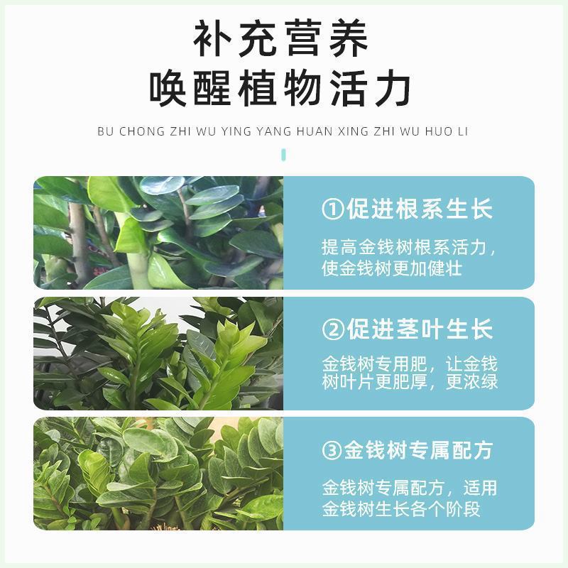 [Promox New Bud] Money Tree Nutrient Solution, Germination and Anti-Yellow Leaf Rotten Root Liquid Fertilizer, Dilution-Free Special Fertilizer Manufacturer