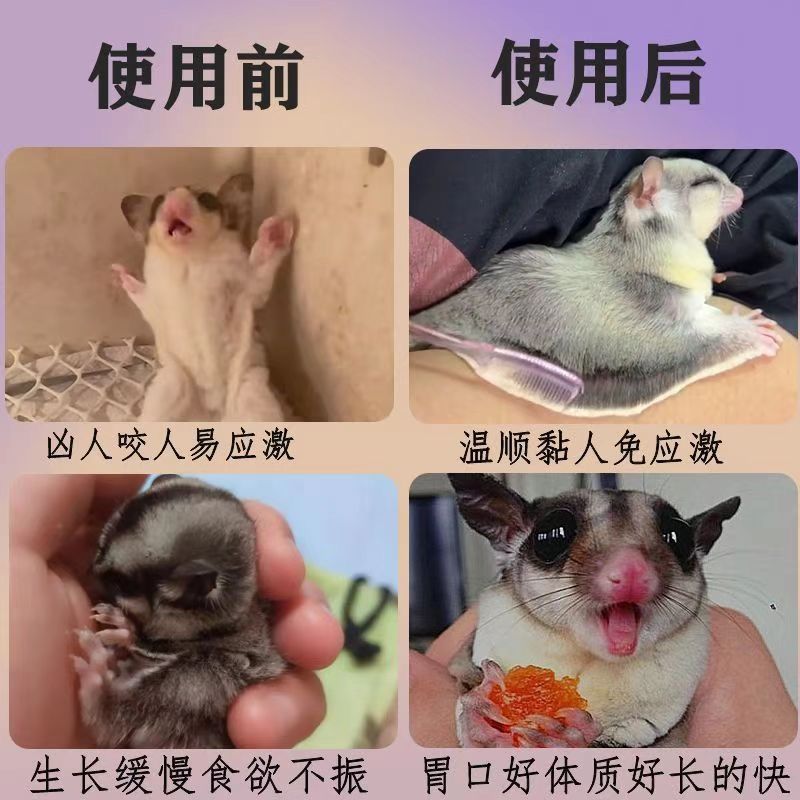 Pet Electrolyte Multi-Dimensional Parrot Rabbit Dog Cat Pigeon Chicken Pet Mouse Enhances Physical Fitness Parrot Supplement Nutrition Vitamins