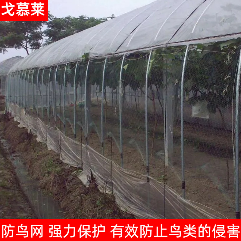 Анти-птица сетка для сада, сетка для пруда, защитная сетка для вишни, нейлоновая рыболовная сеть