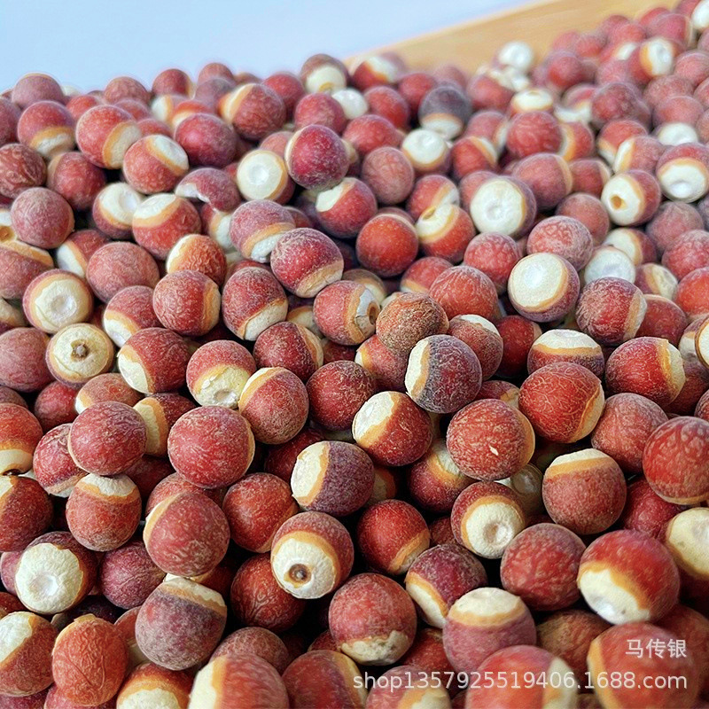 【Kangyuan】Wholesale Natural Gorgon Fruit (Gordonia Pentaphylla) in Sizes 10mm and 12mm, Selected Large-Sized Gorgon Fruit in Various Specifications, Large Quantities Available at Favorable Prices