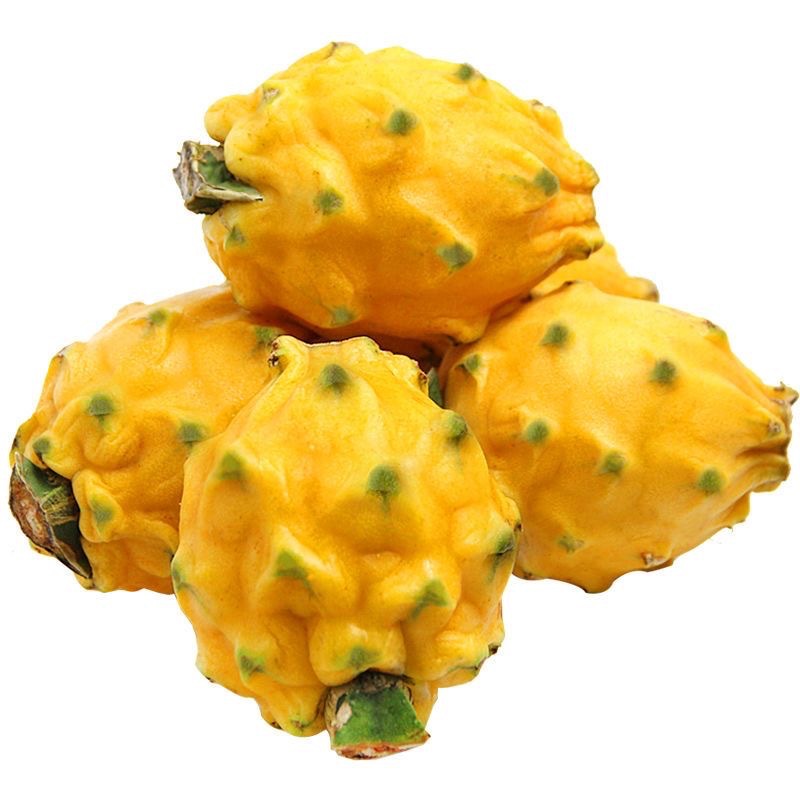 Authentic Kirin Bird's Nest Fruit 2.5kg Whole Box Fresh Tropical Fruit Yellow Skin Wholesale Free Shipping 1.5kg Yellow Dragon Fruit