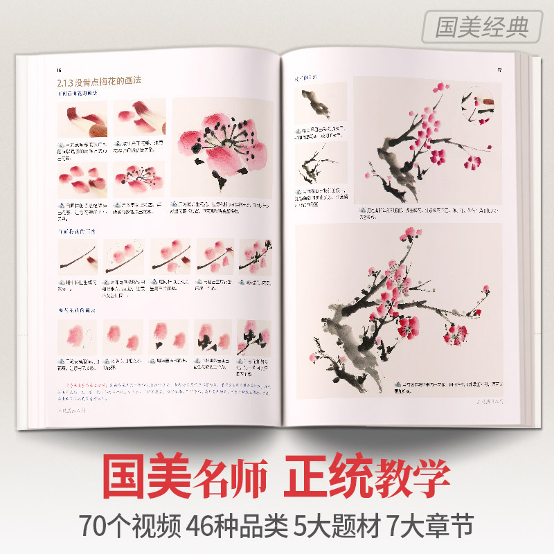Introduction to Orthodox Chinese Painting: Basic Art Tutorial Books for Beginners - Freehand Drafts and Copying Templates Album