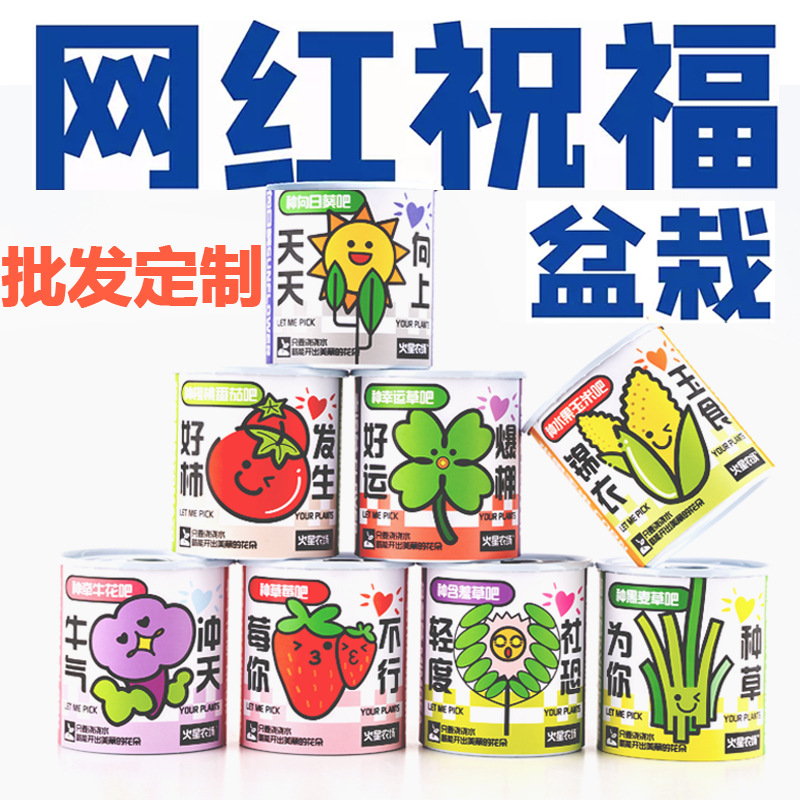 Детские контейнеры для посадки, слепая коробка для растений, настольные горшечные мятные цветы, комнатные зеленые растения, хорошо подходят для посева семян