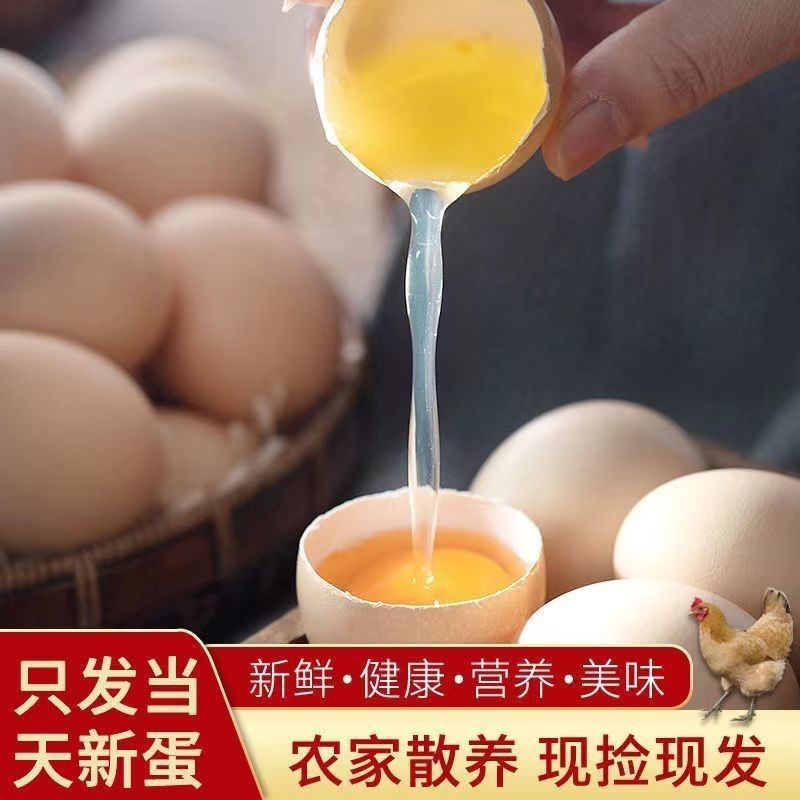 【Morning Fresh】Fresh Farm-Raised Free-Range Eggs, Free-Range Eggs, Native Eggs, Grass-Fed Eggs, Ecological Grass-Fed Eggs