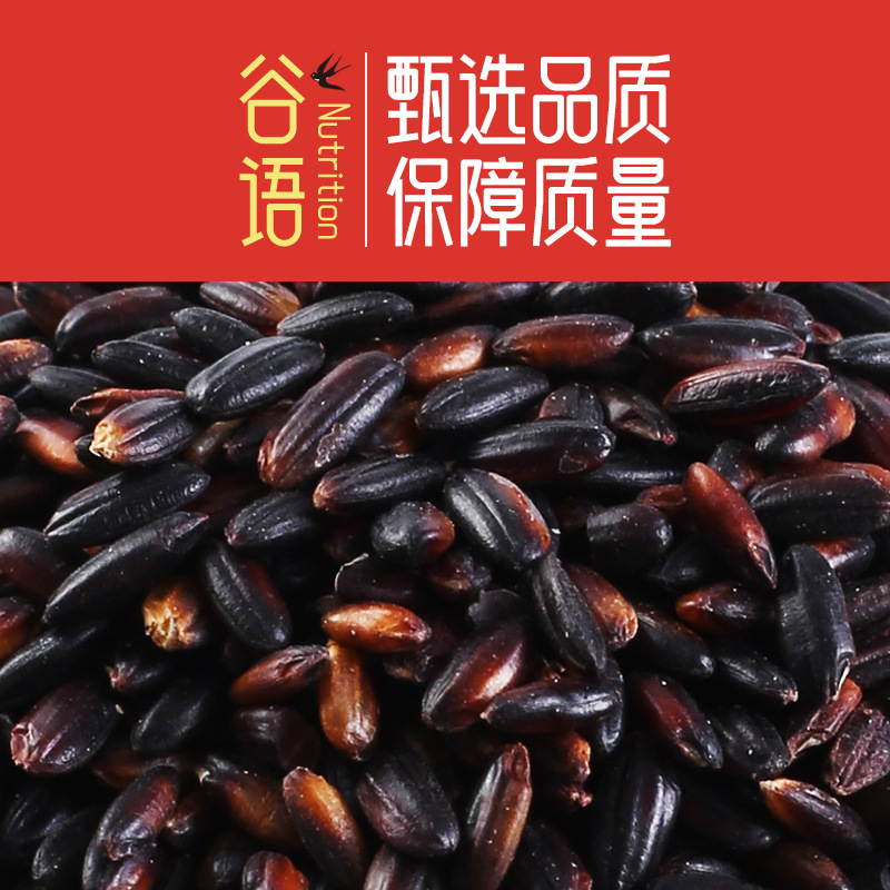 Blood glutinous rice 500g vacuum packaging northeast new rice black glutinous rice black brown rice cereals coarse grains factory wholesale