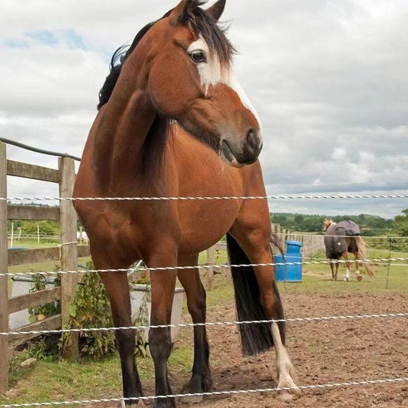 Pasture Electric Fence Electric Rope Fence Wire Electric Fence Electric Rope 2mm 200 m 500 m