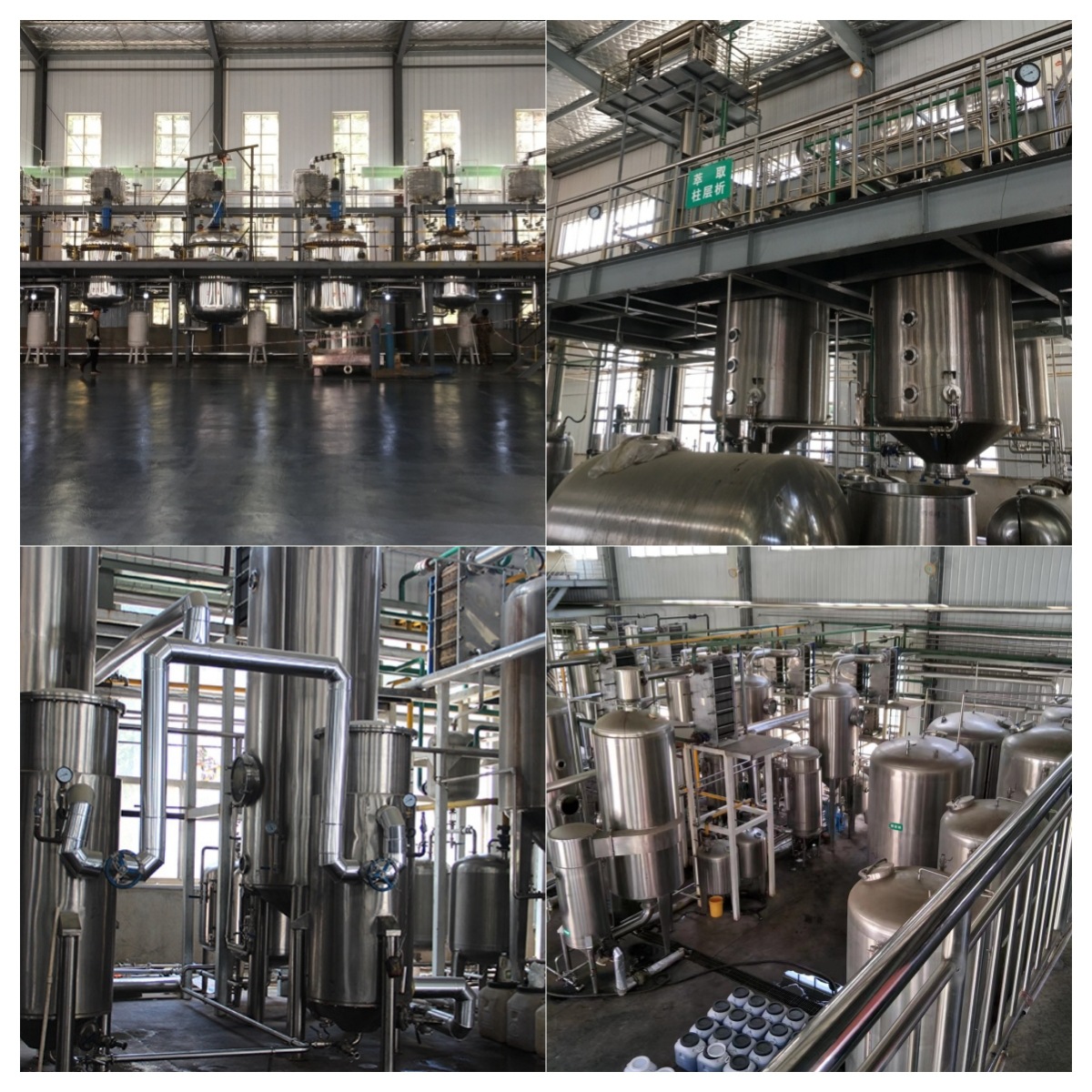 Green Coffee Beans, Chlorogenic Acid 50%, Green Coffee Powder with Complete Qualifications, One Bag with Free Shipping, Water-Soluble Green Coffee Extract