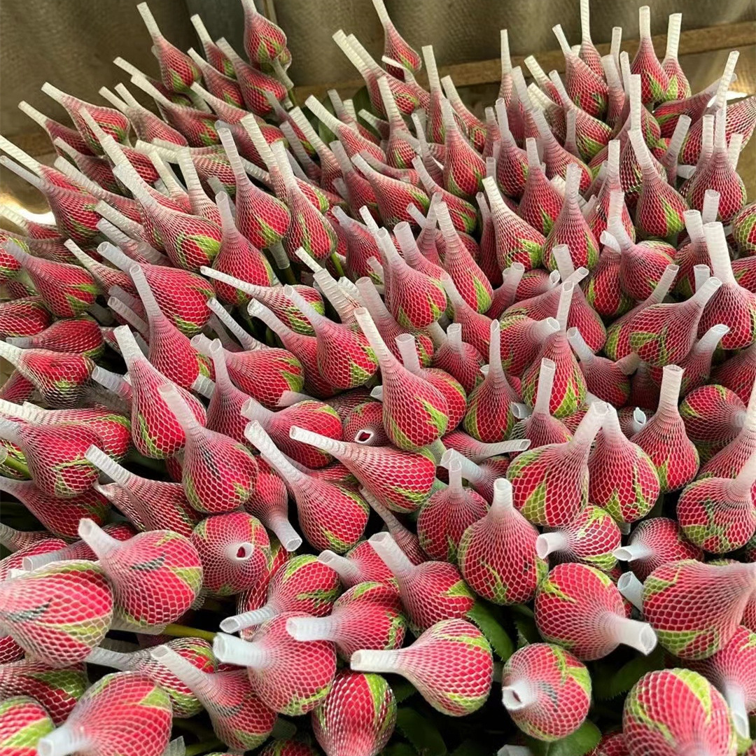 Corolla Red Rose Flowers Wholesale Yunnan Direct Batch Holiday Event Fresh A-Grade Red Rose Wedding Fresh Cut Flowers