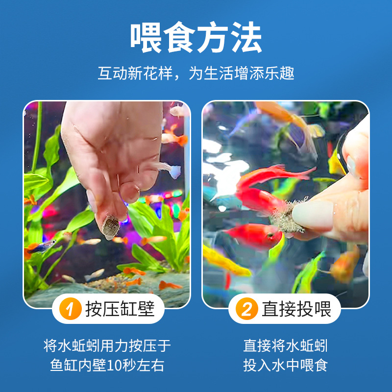 Freeze-Dried Water Earthworm Patch Red Nematode Red Worm Dried Fish Food Hexagonal Dinosaur Paste Fish Food Ornamental Fish Freeze-Dried Feed