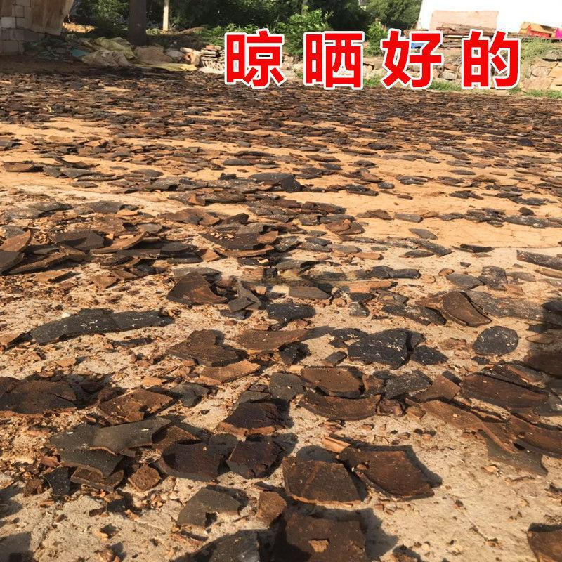 Sesame Cake Bran 5 Pounds 0.5kg Sesame Cake Bran Sesame Cake Bran Flower Fishing Flower Vegetable Fertilizer