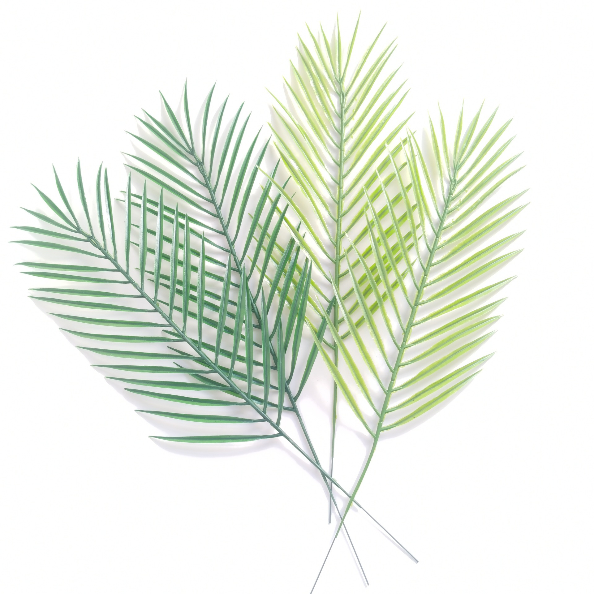 Кросс-бодерный скандинавский стиль, симуляция растения, листья подсолнуха, мягкая цветочная композиция, декоративный одиночный лист папоротника