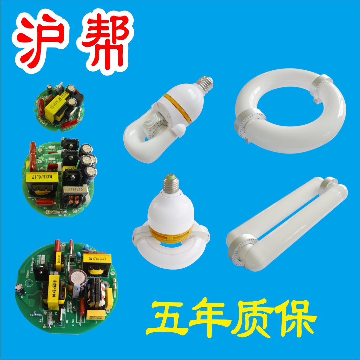 Induction Lamp Low Frequency Induction Lamp Digital Ballast Light Source Lamp Induction Lamp