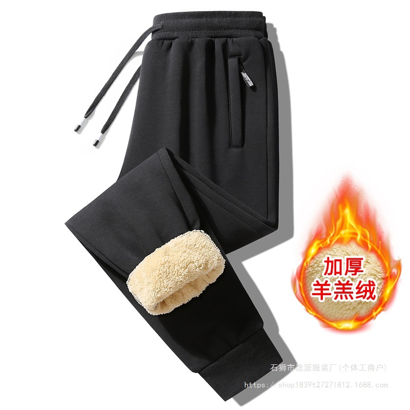 Men's Autumn and Winter New Thickened Warm Outdoor Sports Pants with Lamb Wool Cotton, European Size Special Edition for Foreign Trade Cross-Border
