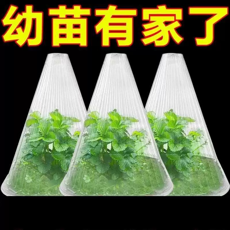Seedling Protection Cover Vegetable Planting Agriculture Blister Packaging Plant Seedling Wind-proof Cold-proof Protection Cover Insulation Cover