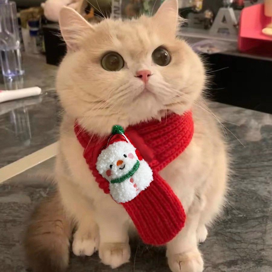 Red Scarf Pet Accessory Cute Puppy Christmas New Year Knitted Accessory Winter Dog Warm Scarf Cat Lucky Charm