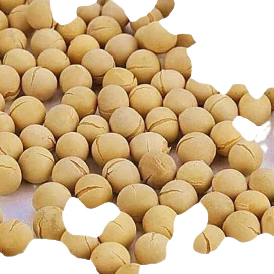 Low-Temperature Roasted Soybeans, Cooked Whole Grains, Freshly Ground Soy Milk Ingredients Wholesale