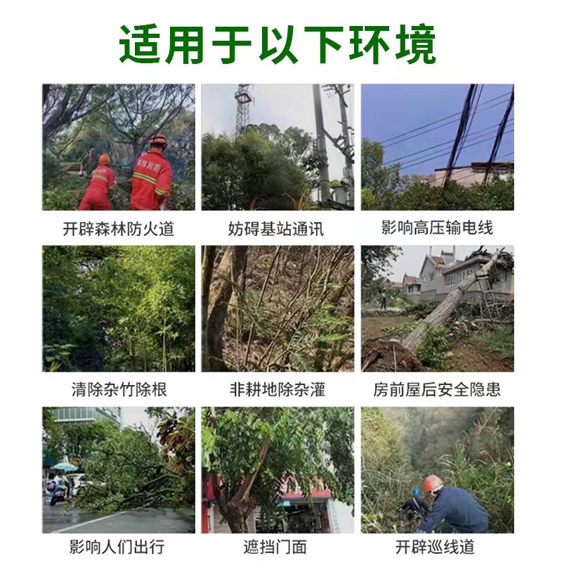 Cyclazinone Remove Big Trees, Bamboo, Shrubs, Weeds, Railway, Highway, Factory, Herbicide, Dead Root Agent, Herbicide, Cyclazinone