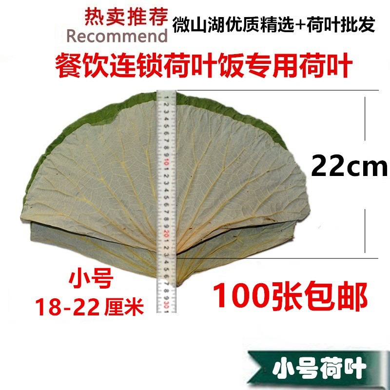 Малые целые листья лотоса, высококачественные сушеные листья для приготовления риса в листьях лотоса, курицы бедняка и курицы с клейким рисом. Бесплатная доставка