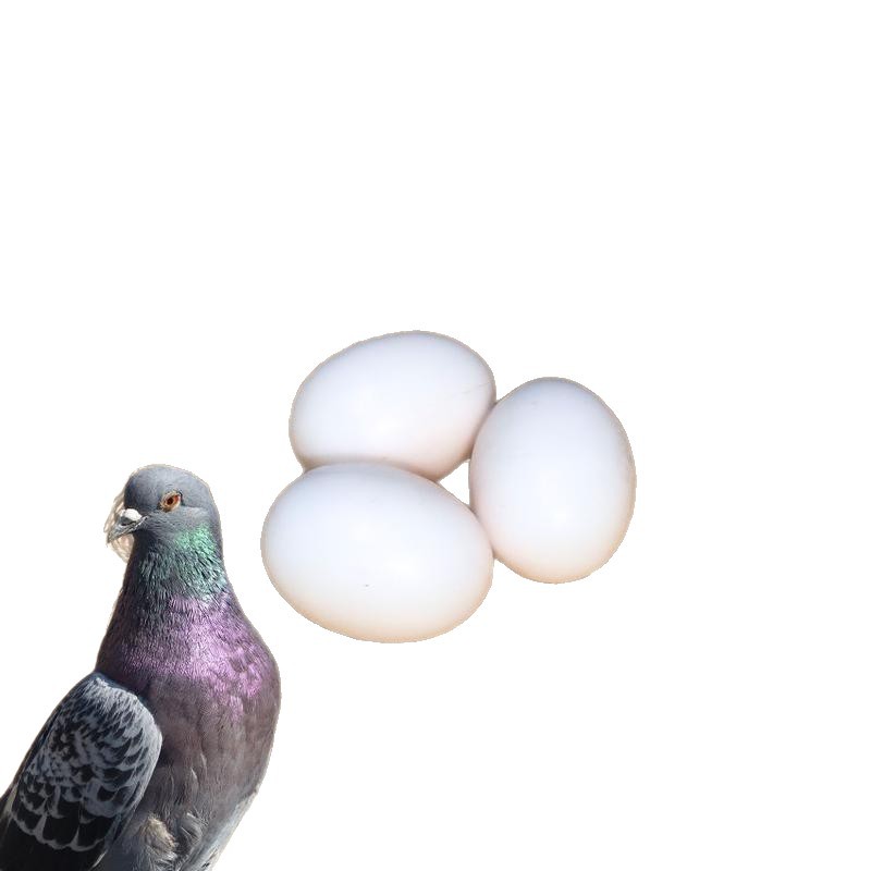 Plastic Solid Egg Artificial Pigeon Egg Fake Egg Pigeon Farm Special 34Mm*24Mm Size Plastic Fake Egg