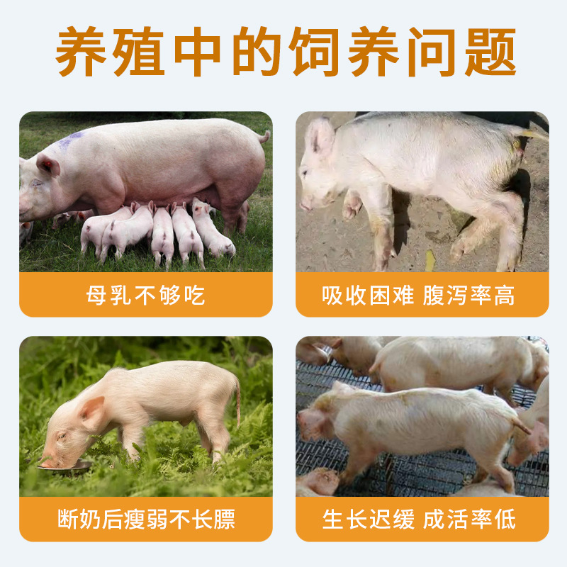 Nongdali 1.0kg Piglet Milk Powder, Special Milk Substitute for Piglets, Piglet Milk Powder, Veterinary Milk Powder Wholesale