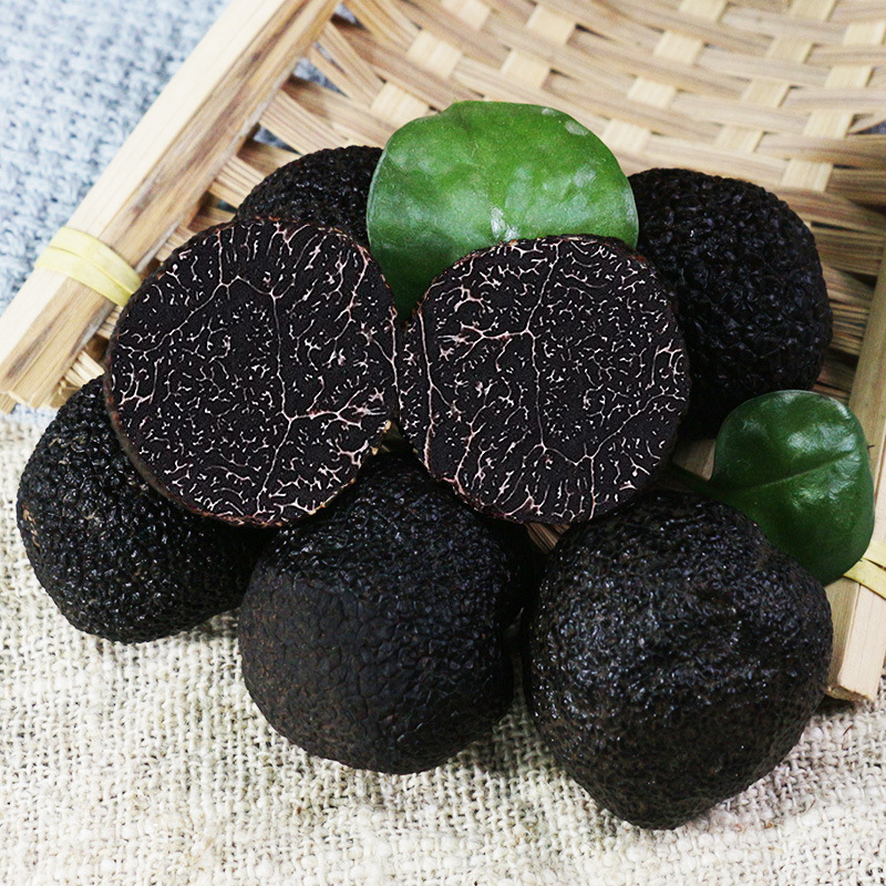 Fresh Black Truffles, Mature Wild Authentic Yunnan Specialty, Premium Fresh White Truffles, Mushrooms, Boletes, and Porcini Mushrooms