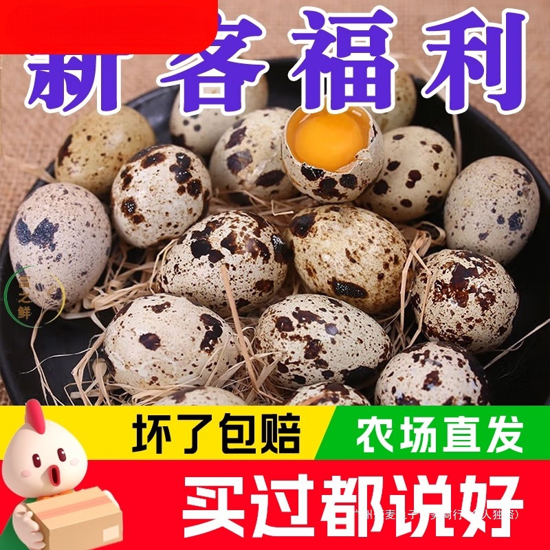 Свежие перепелиные яйца и многозерновое кормление, 100 штук, собраны и отправлены сейчас, богаты питательными веществами и нежным вкусом, подходят для птицы