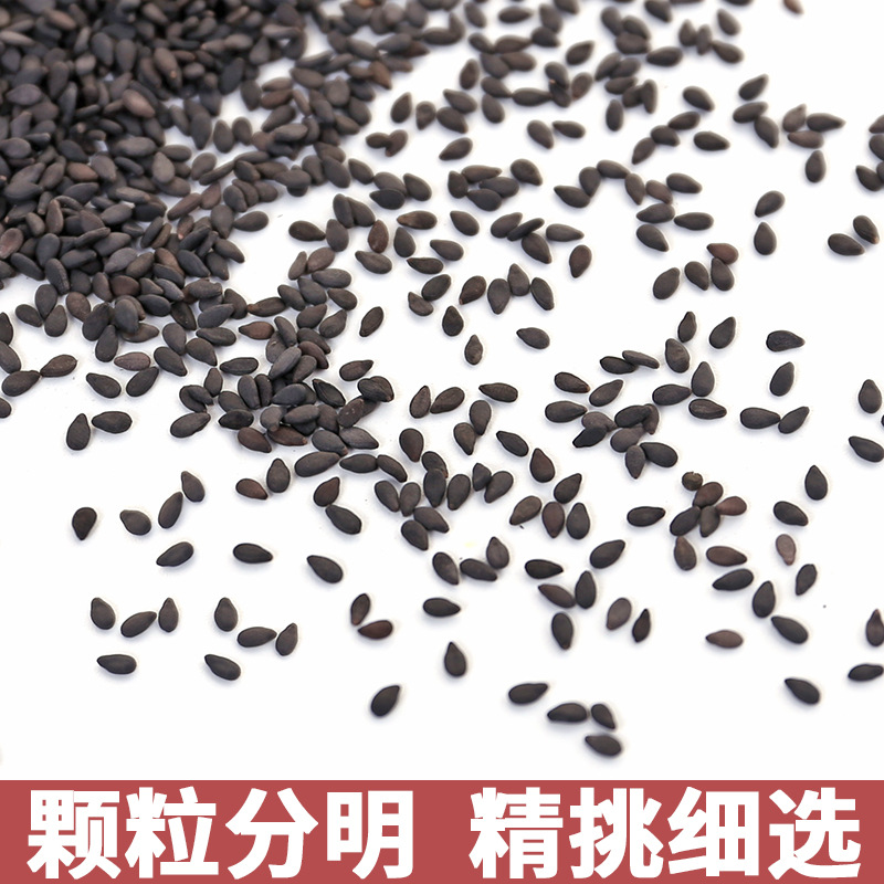 Black Sesame New Goods Black Sesame Soybean Milk Special Granules Full No Sand No Dyeing