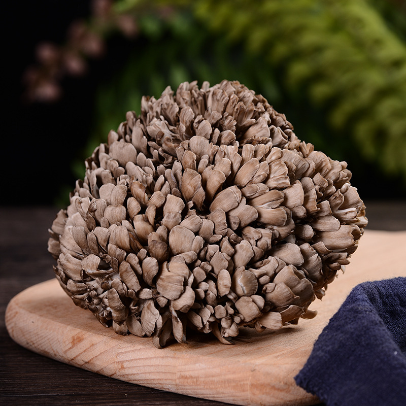 Yunnan Fresh Grifola Frondosa Hot Pot Mushrooms Catering Edible Fungi Wholesale Grifola Frondosa Mushrooms