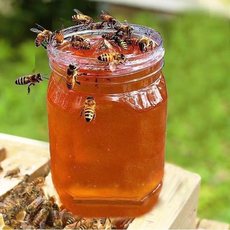 Honey soil honey farm self-produced baihua honey 500g Locust linden honey
