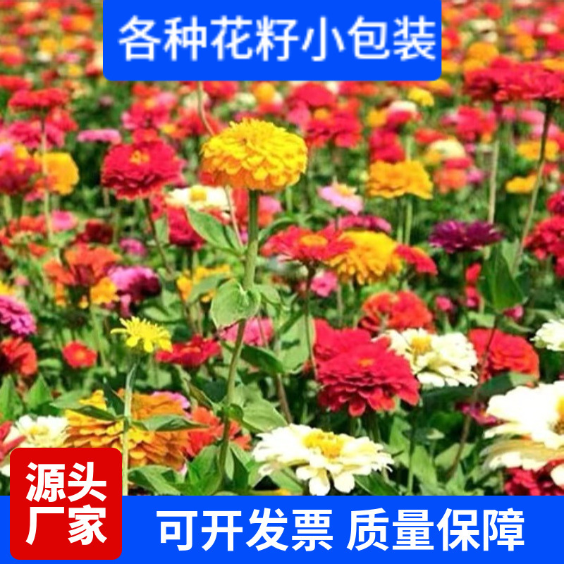 Разнообразные семена цветов интернет-знаменитостей, семена цветов, популярные семена цветов, оптовые небольшие упаковки семян цветов