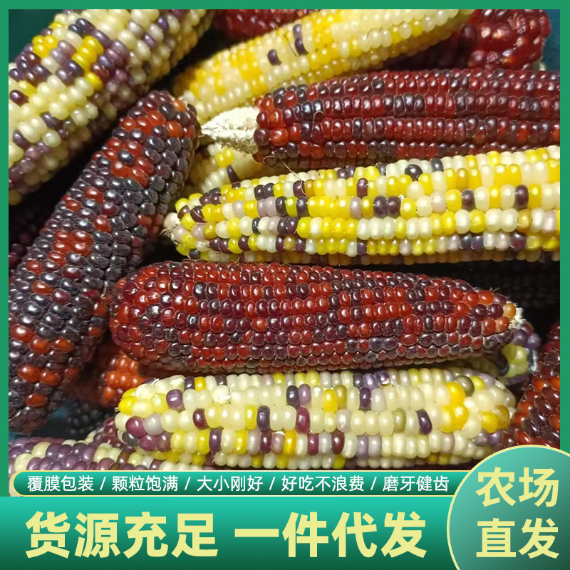 Оптовая продажа корма для хомяков, основной корм, мини-кукуруза, закуски для кроликов, шиншилл и хомяков, кукурузные палочки для зубов