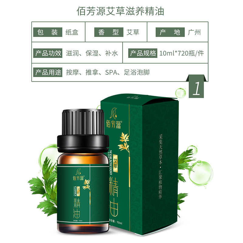 Mugwort Essential Oil Plant Whole Body Spa Massage Massage Scraping Beauty Salon Mugwort Ginger Rose Essential Oil in Stock